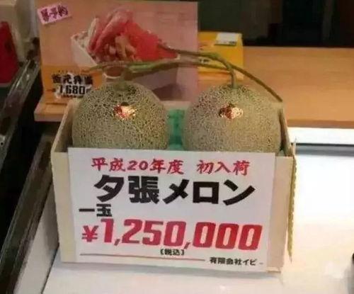 娱乐吃瓜酱礼金,揭秘娱乐圈背后的神秘交易